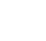 BR Luxury Brands